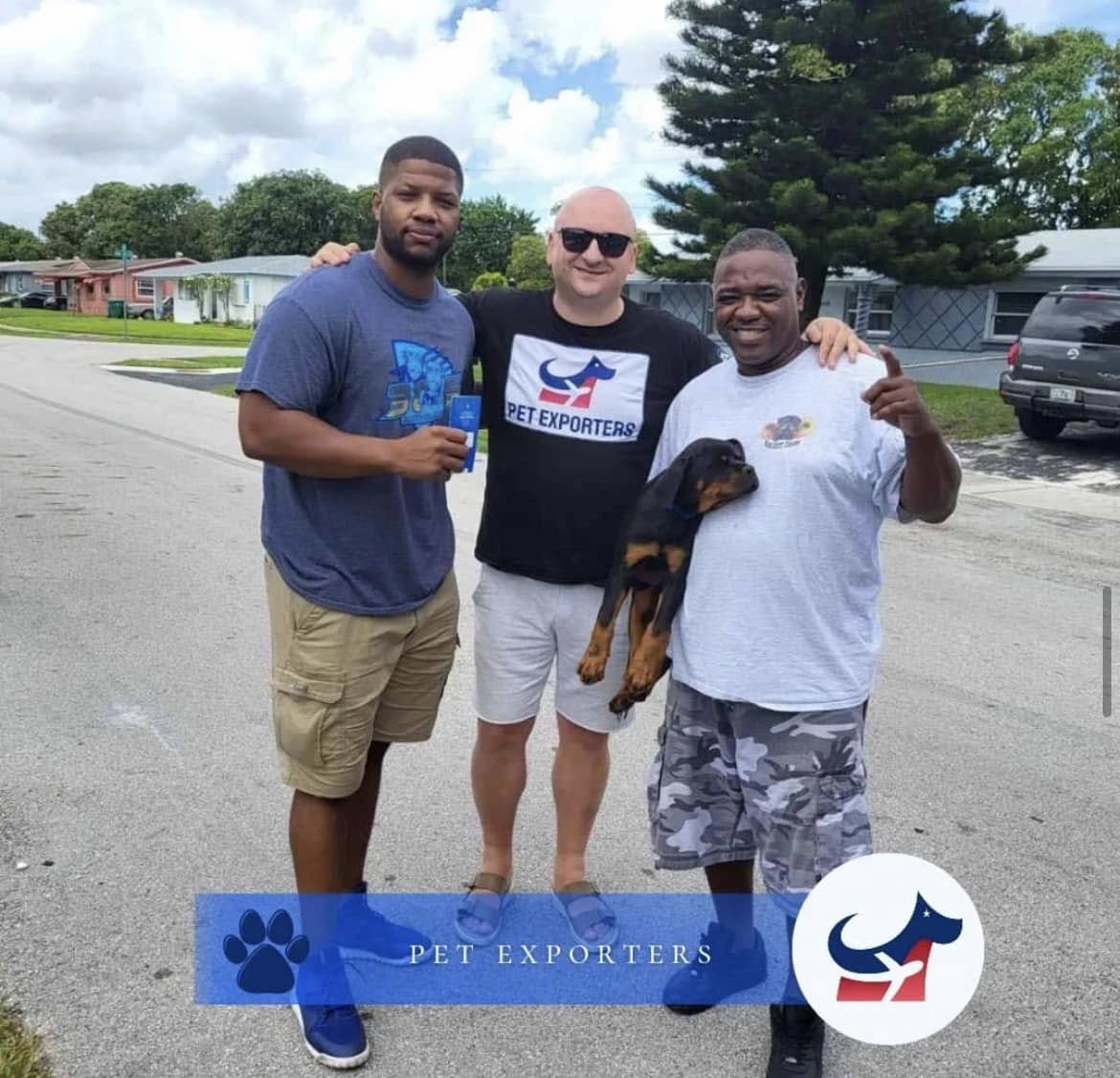 Transport pasa iz Crne Gore u Ameriku — preuzimanje psa