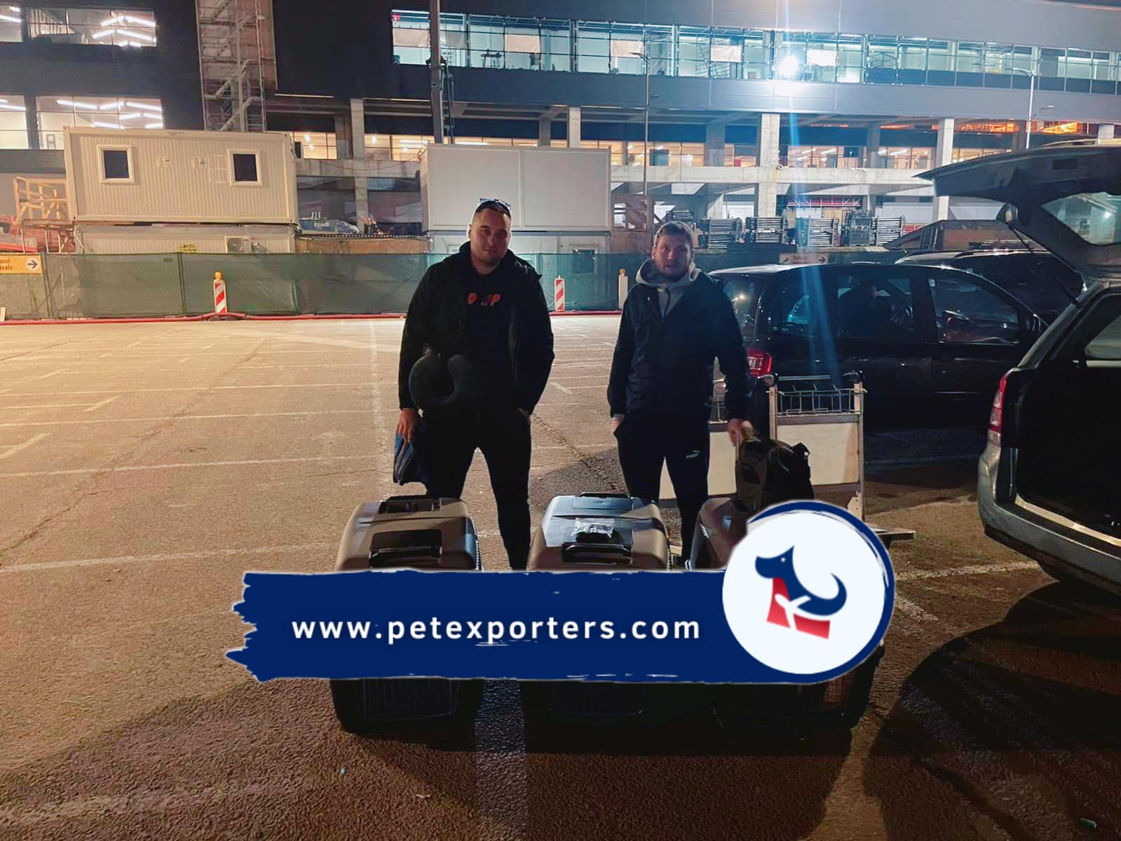 Predaja psa vlasniku u Americi , door-to-door dostava