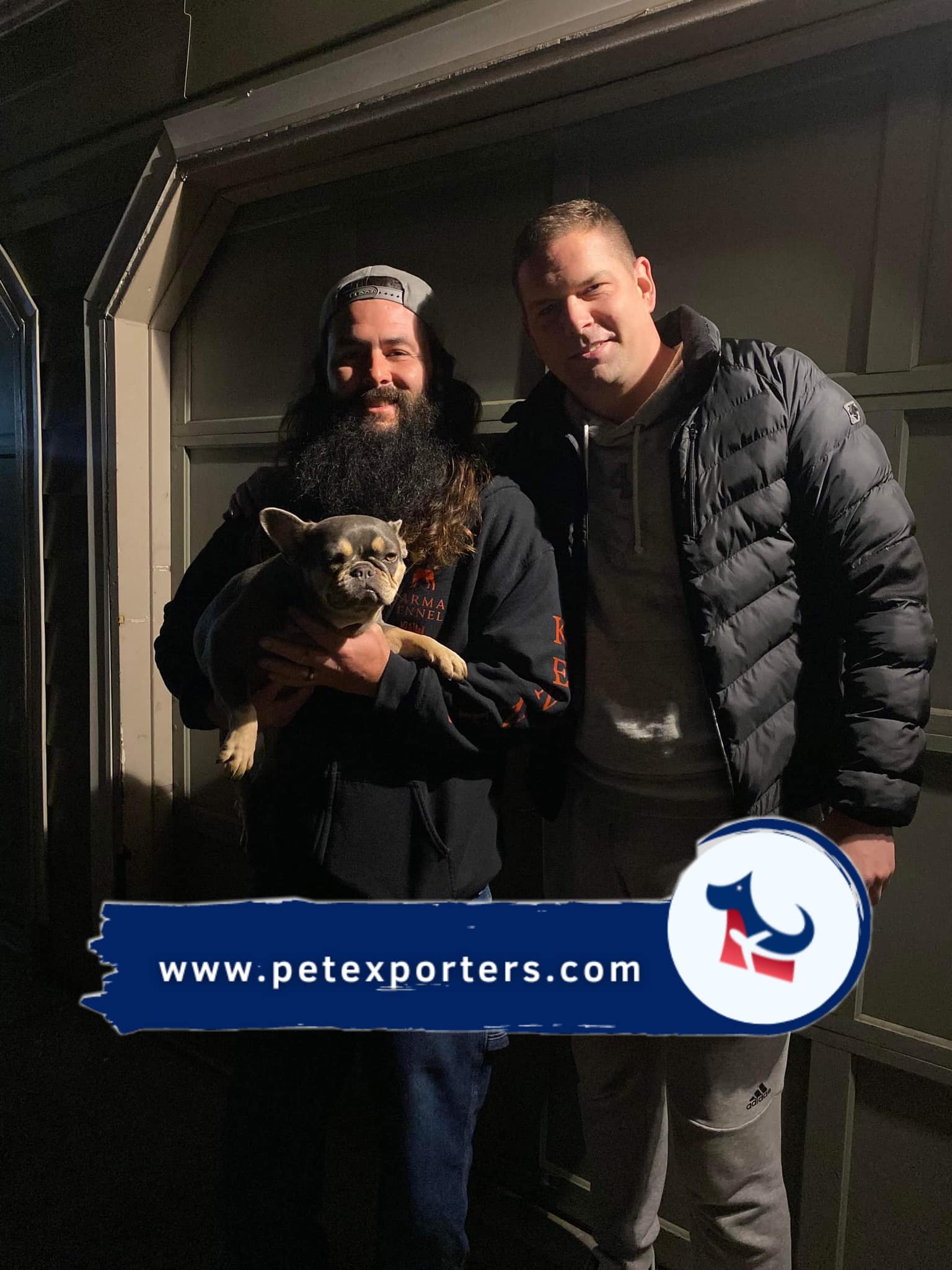 Transport pasa iz Bosne u Ameriku — preuzimanje psa