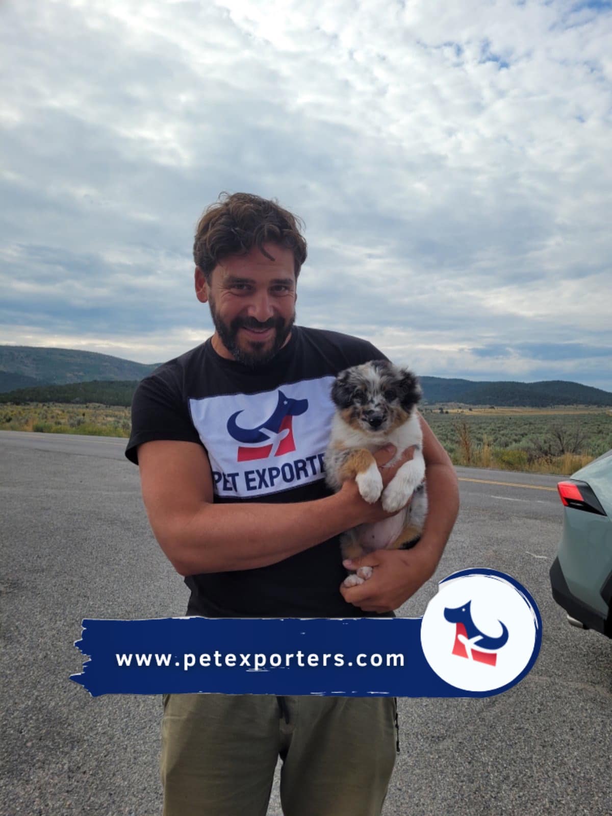 Transport pasa iz Hrvatske u Ameriku — preuzimanje psa