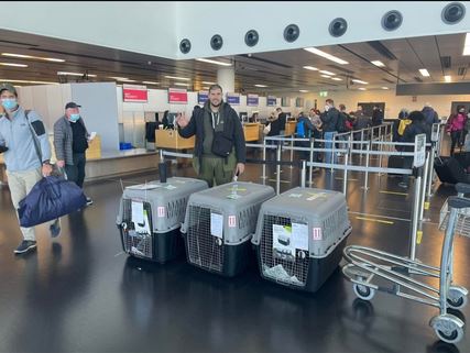 Sretan vlasnik prima psa — transport pasa Crna Gora Amerika