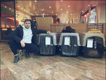 Flight nanny sa psom — transport iz Makedonije u SAD
