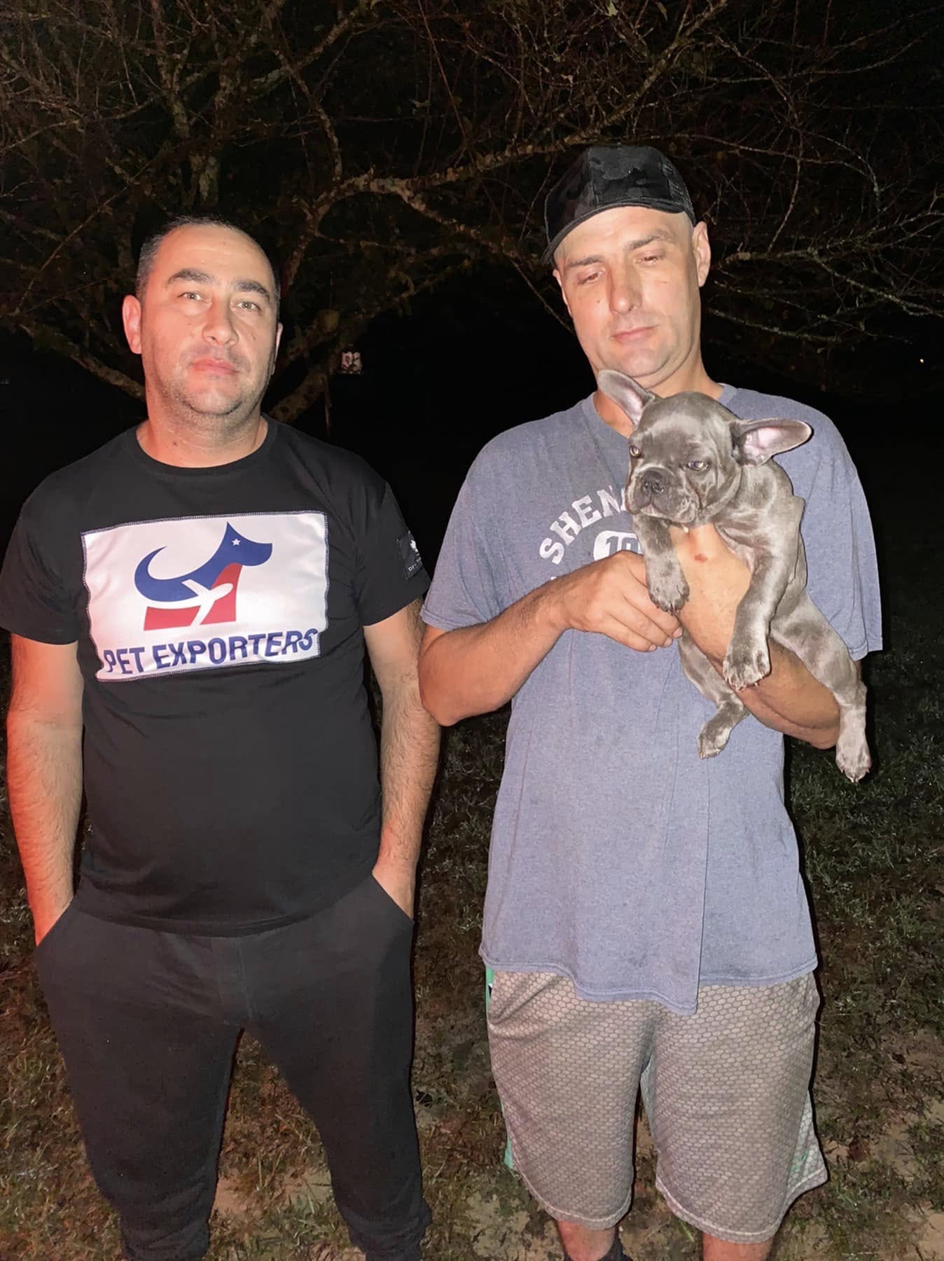 Flight nanny sa psom na aerodromu , transport u SAD