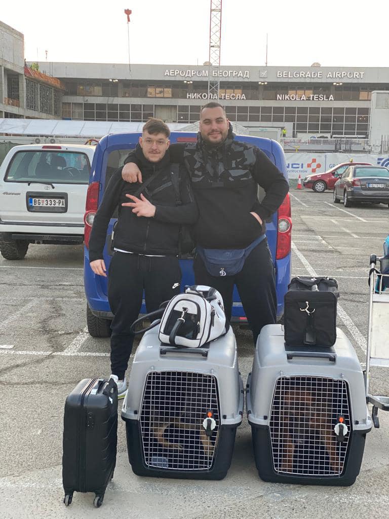 Flight nanny sa psom na aerodromu — transport iz BiH u SAD