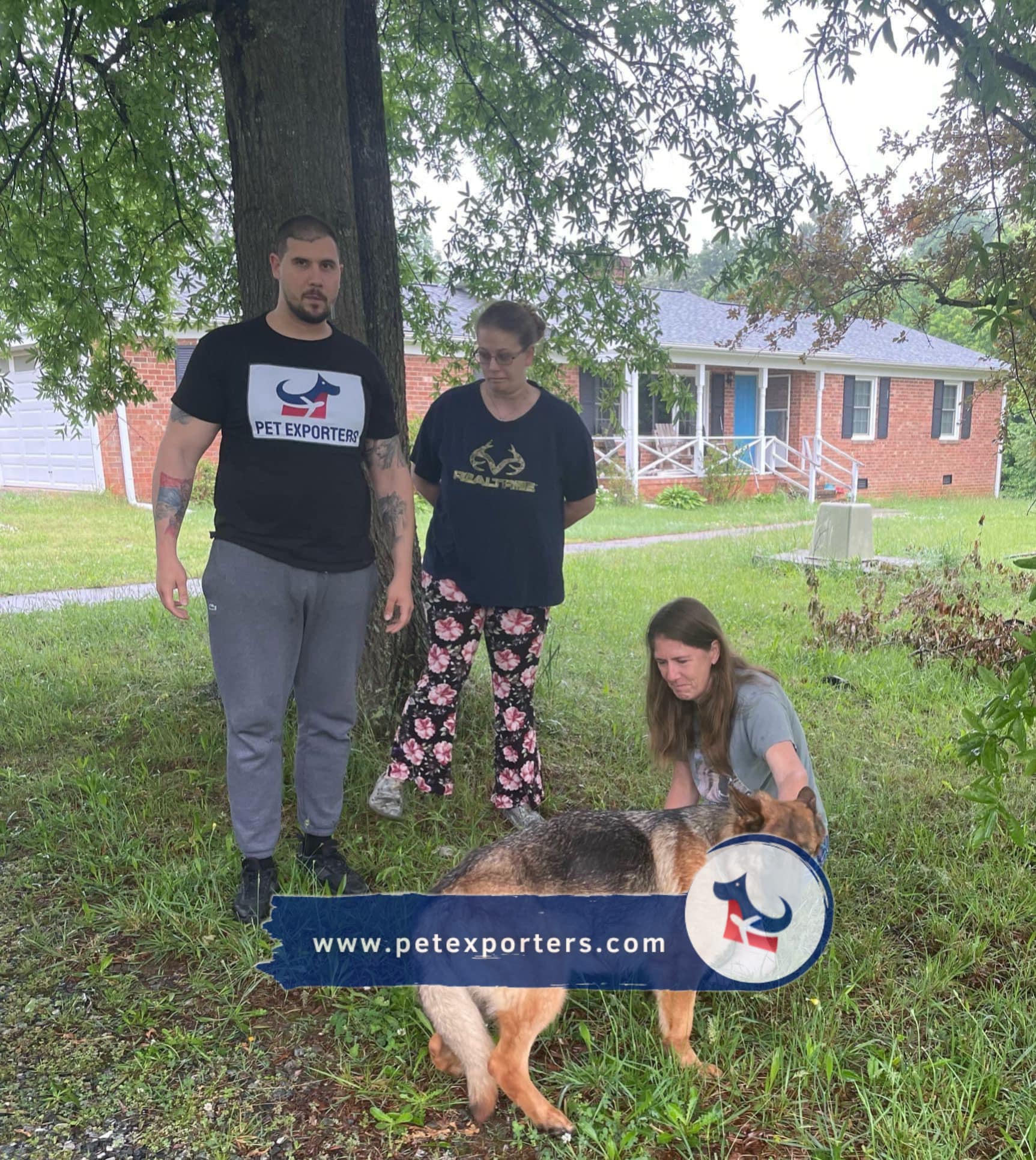 Prevoz pasa iz Srbije u Ameriku , preuzimanje psa