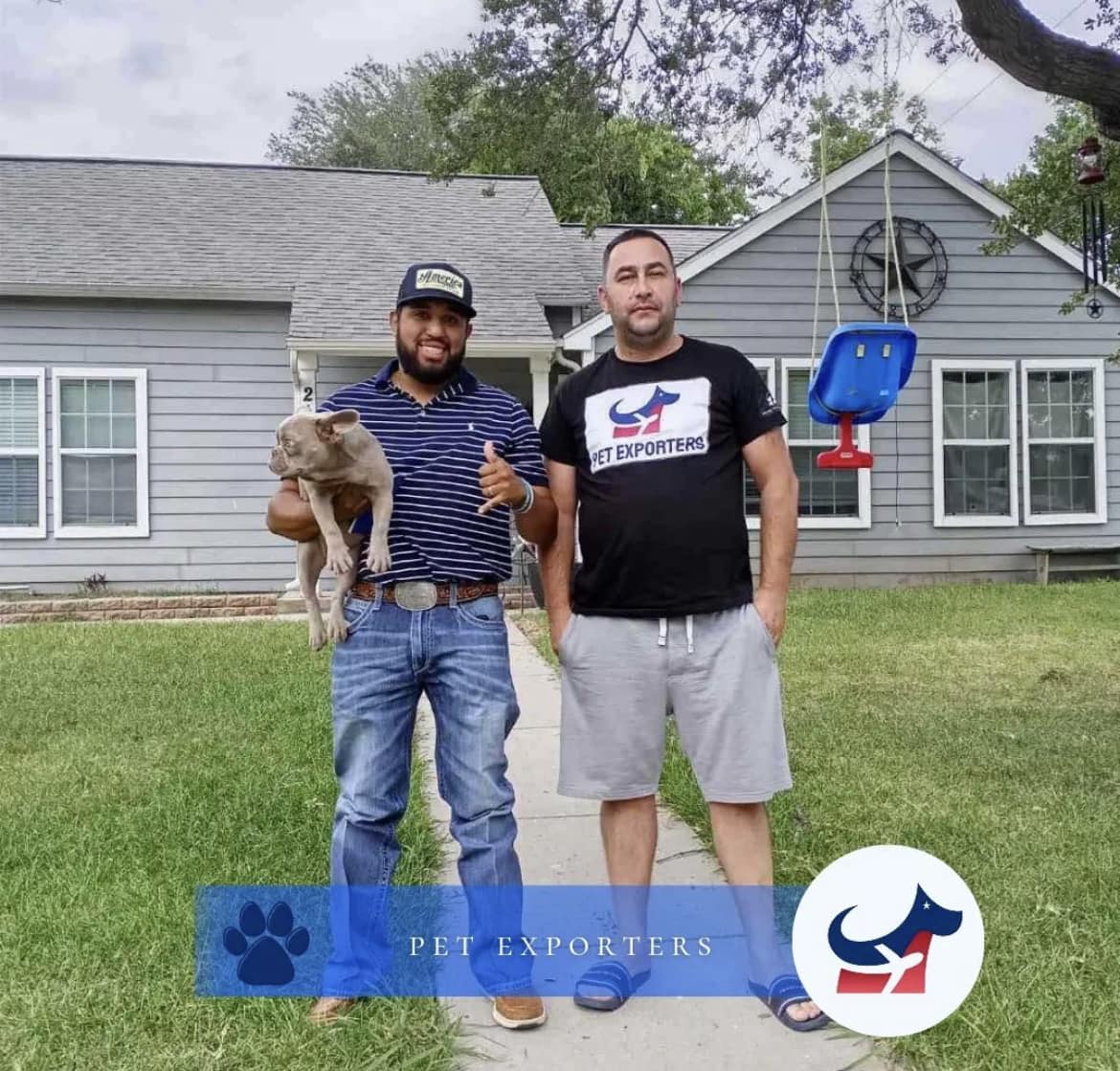 Flight nanny sa psom — transport iz Crne Gore u SAD