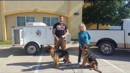 Predaja psa vlasniku u Americi — door-to-door dostava iz Makedonije