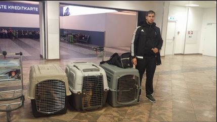 Sretan vlasnik prima psa — prijevoz pasa Hrvatska Amerika