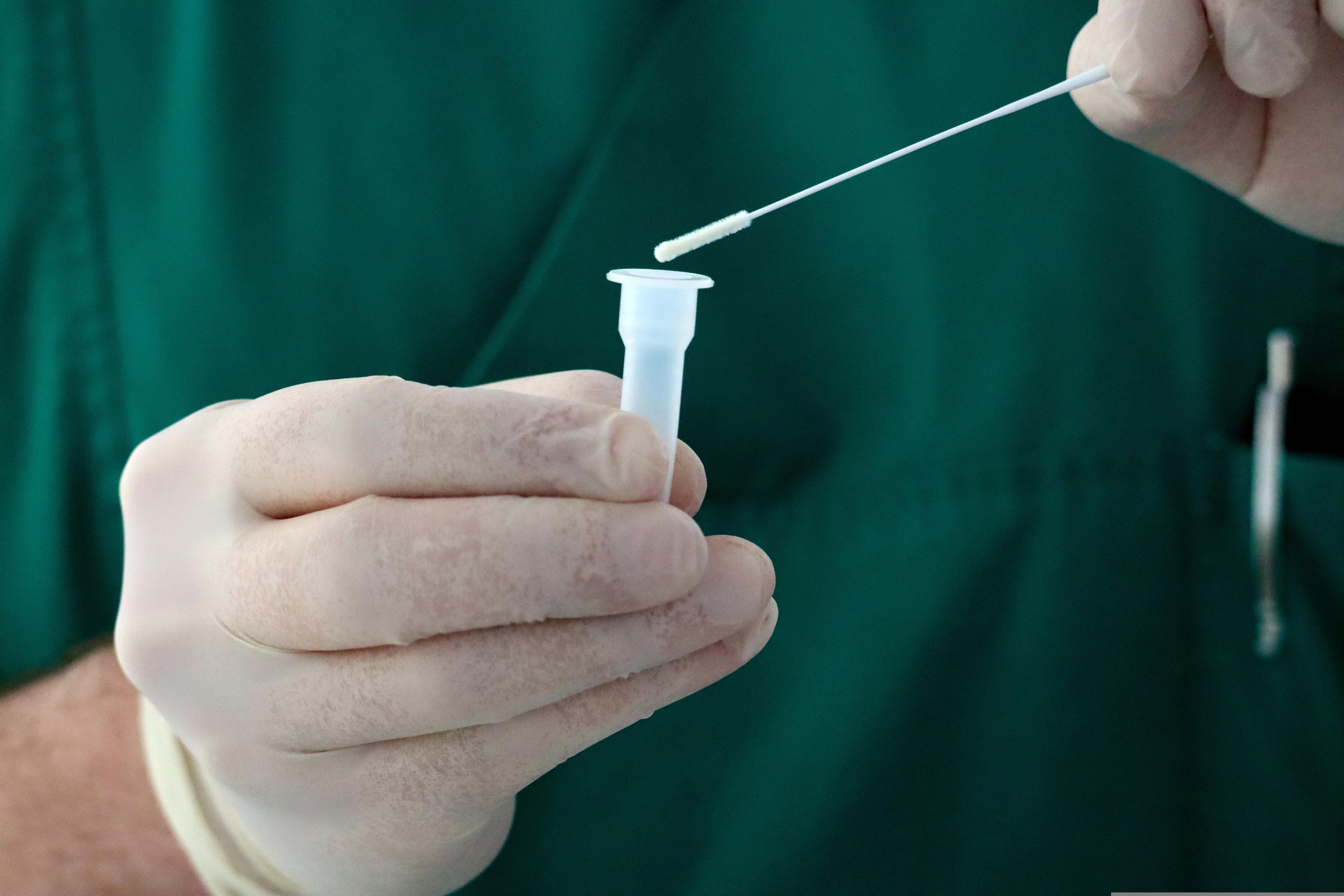 Pas na veterinarskom pregledu — titar test i dokumentacija za uvoz u SAD
