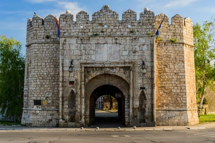 Niš Srbija, transport pasa iz Niša u Ameriku, door-to-door