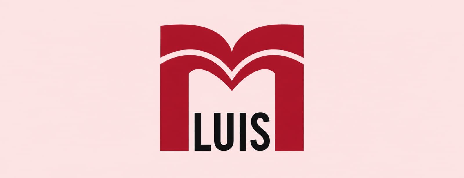 M. Luis Construction