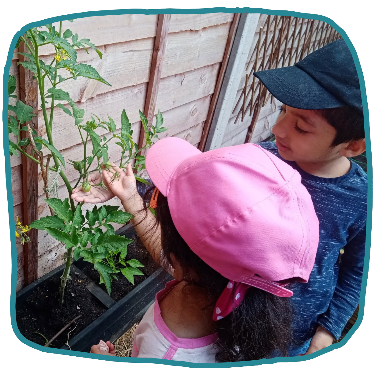 A child in a pink cap and a child in a navy cap look at a small green tomato on a plant growing in a planter.