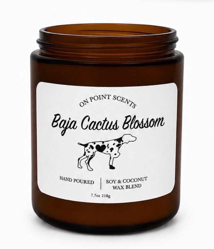 Baja Cactus Blossom