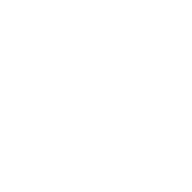 DVIs (Digital Vehicle Inspections)