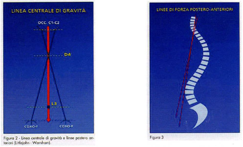 TABELLA 1 - Principali scuole di Terapia Manuale e terminologie correlate alle manipolaizoni