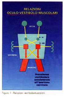 TABELLA 1 - Principali scuole di Terapia Manuale e terminologie correlate alle manipolaizoni