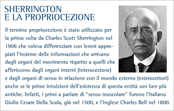 TABELLA 1 - Principali scuole di Terapia Manuale e terminologie correlate alle manipolaizoni