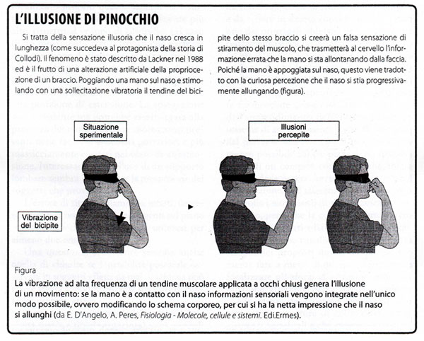 TABELLA 1 - Principali scuole di Terapia Manuale e terminologie correlate alle manipolaizoni