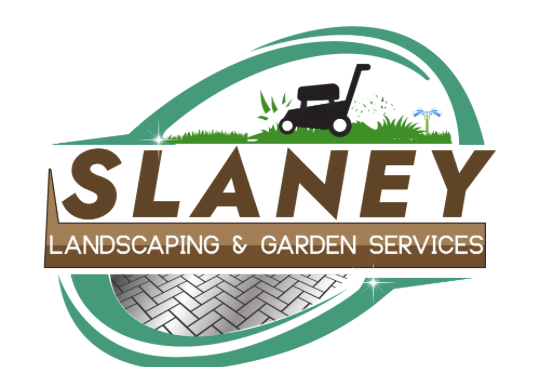 Michael Slaney business logo