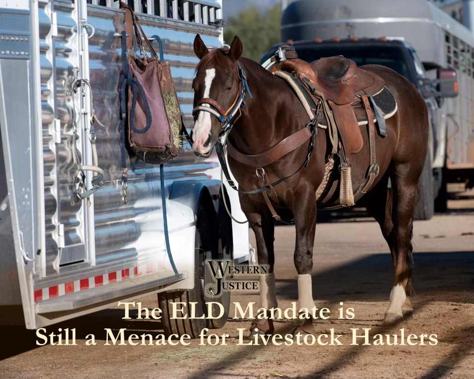 The ELD Mandate Is Still Menacing for Livestock Haulers The ELD Mandate Is Still Menacing for Livestock Haulers