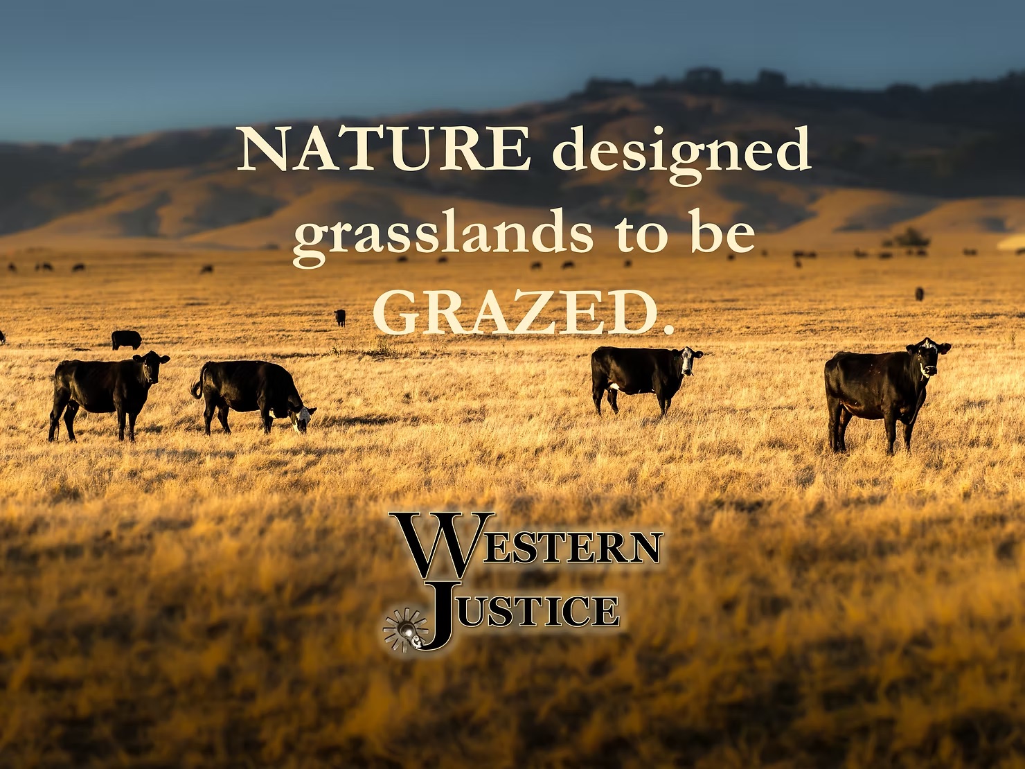 We Need Your Help to Prove Livestock Are Not The Problem 