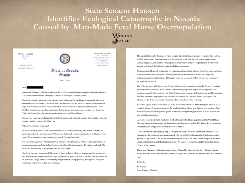 Nevada Senator Letter Nevada Senator Letter
