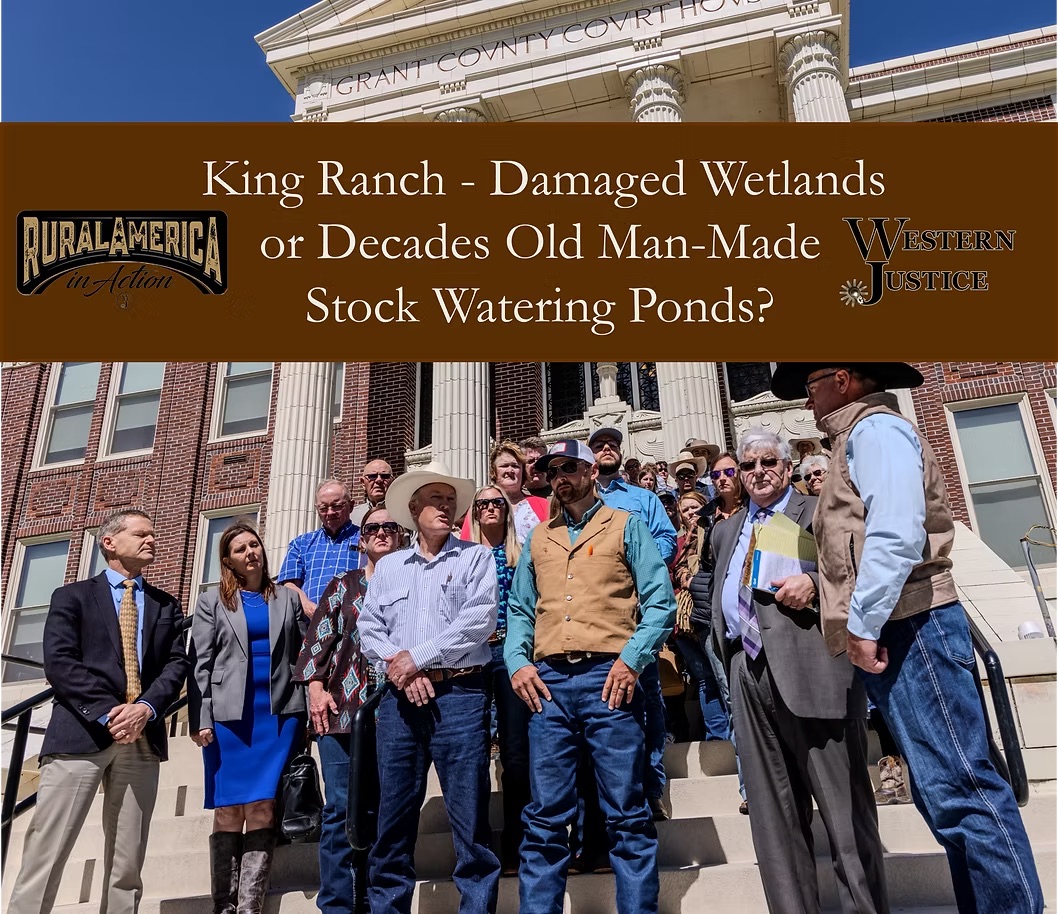 Damaged Wetlands or Decades Old Man-Made Stock Watering Ponds?