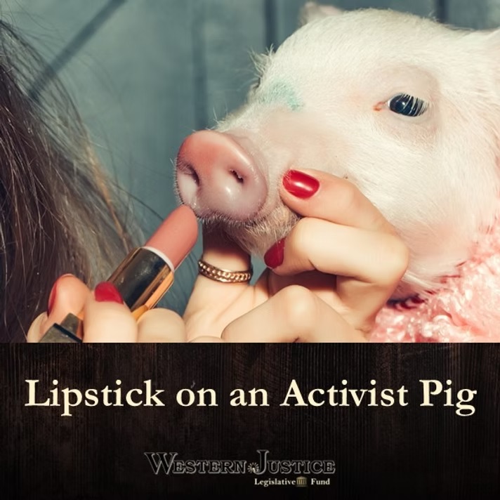 Lipstick on an Activist Pig:  HSUS Attempts to Rebrand
