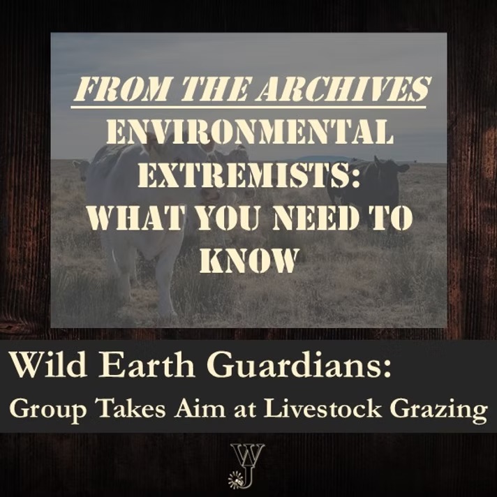 WildEarth Guardians:  Group Takes Aim at Livestock Grazing