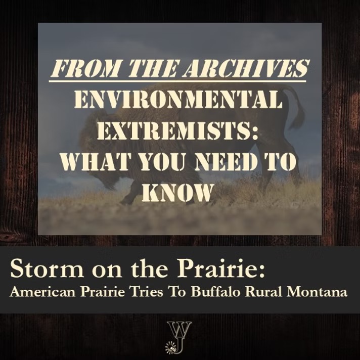 Storm on the Prairie: American Prairie Tries to ‘Buffalo’ Rural Montana