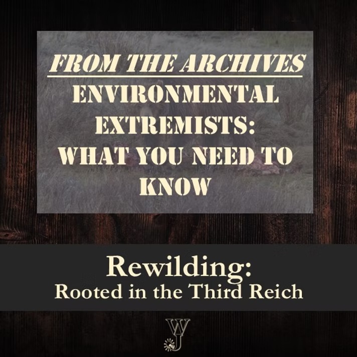 Rewilding: Rooted in the Third Reich