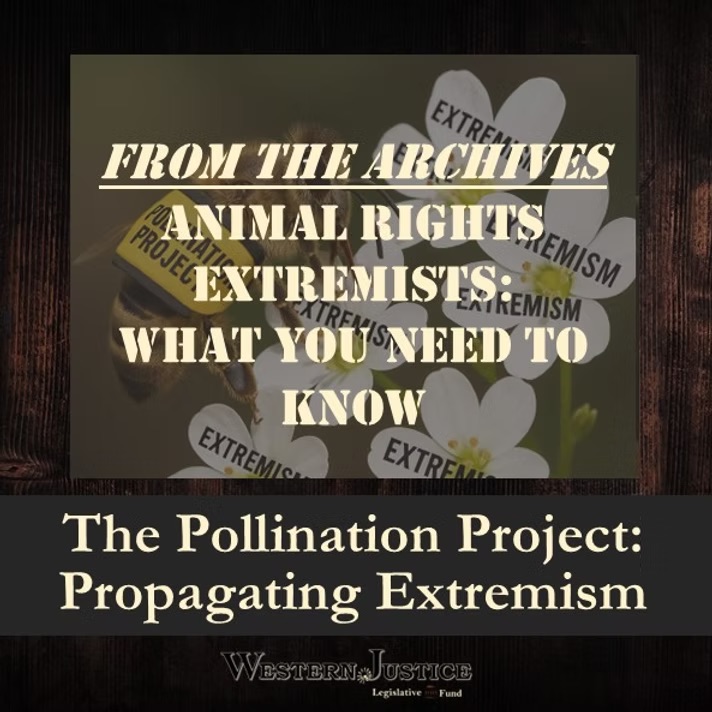 The Pollination Project: Propagating Extremism The Pollination Project: Propagating Extremism