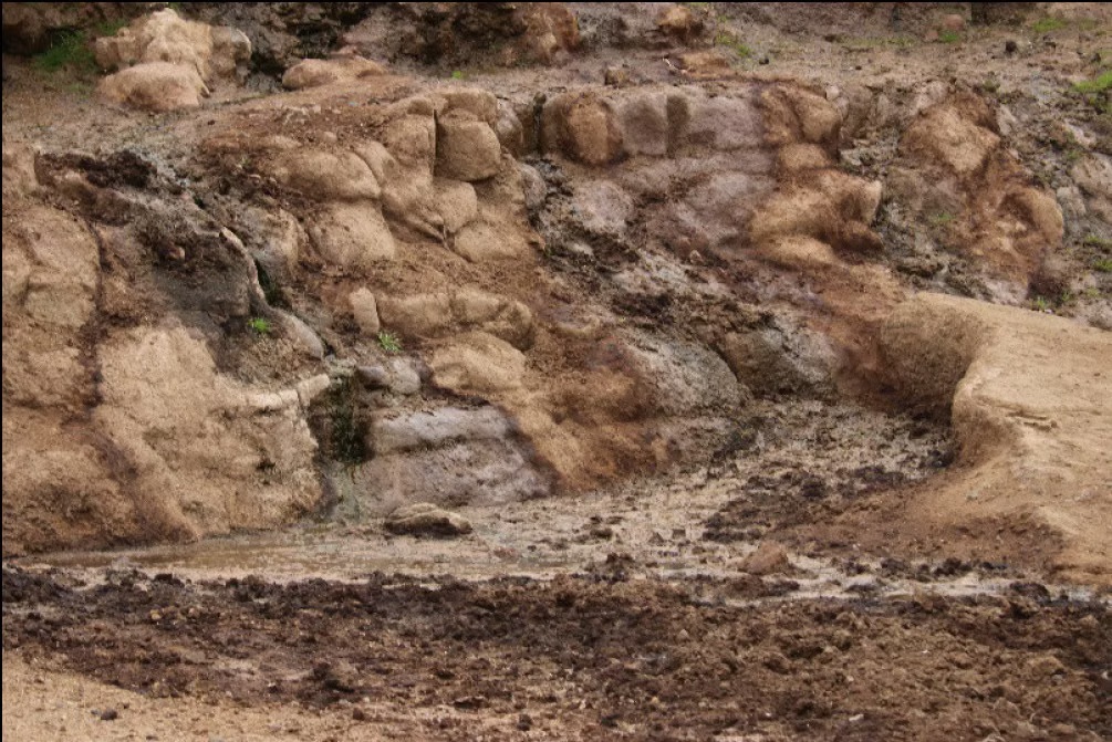 October 2021 of the same water seepage area, littered with wild horse carcasses, which prompted an emergency gather.
