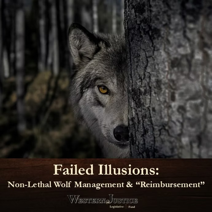 Failed Illusions: Non-Lethal Wolf Management & “Reimbursement”
