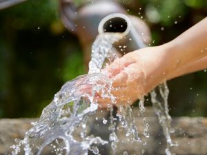 {{ custom_values.service_3 }} in {{custom_values.area_3})