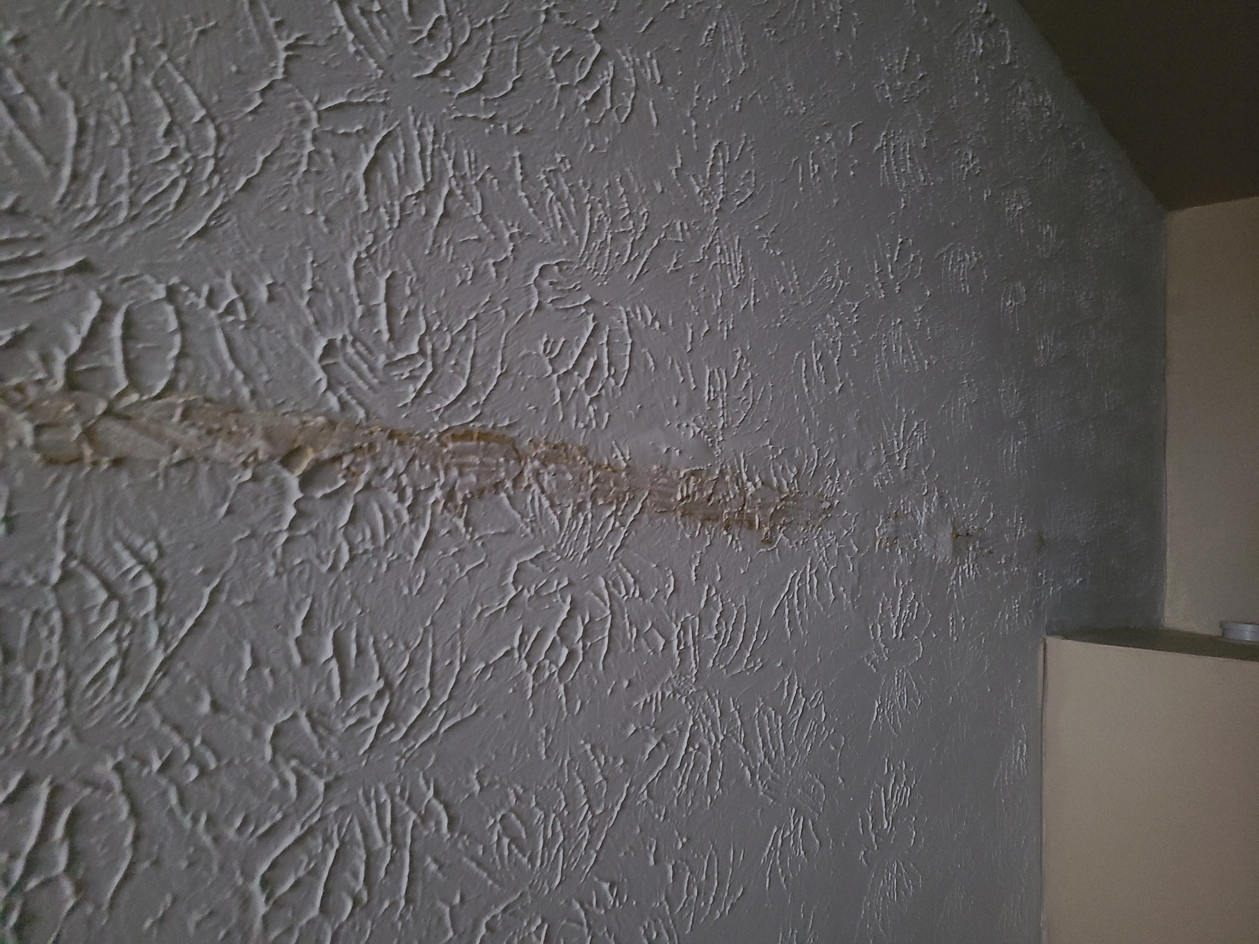 Water Stains Water Stains