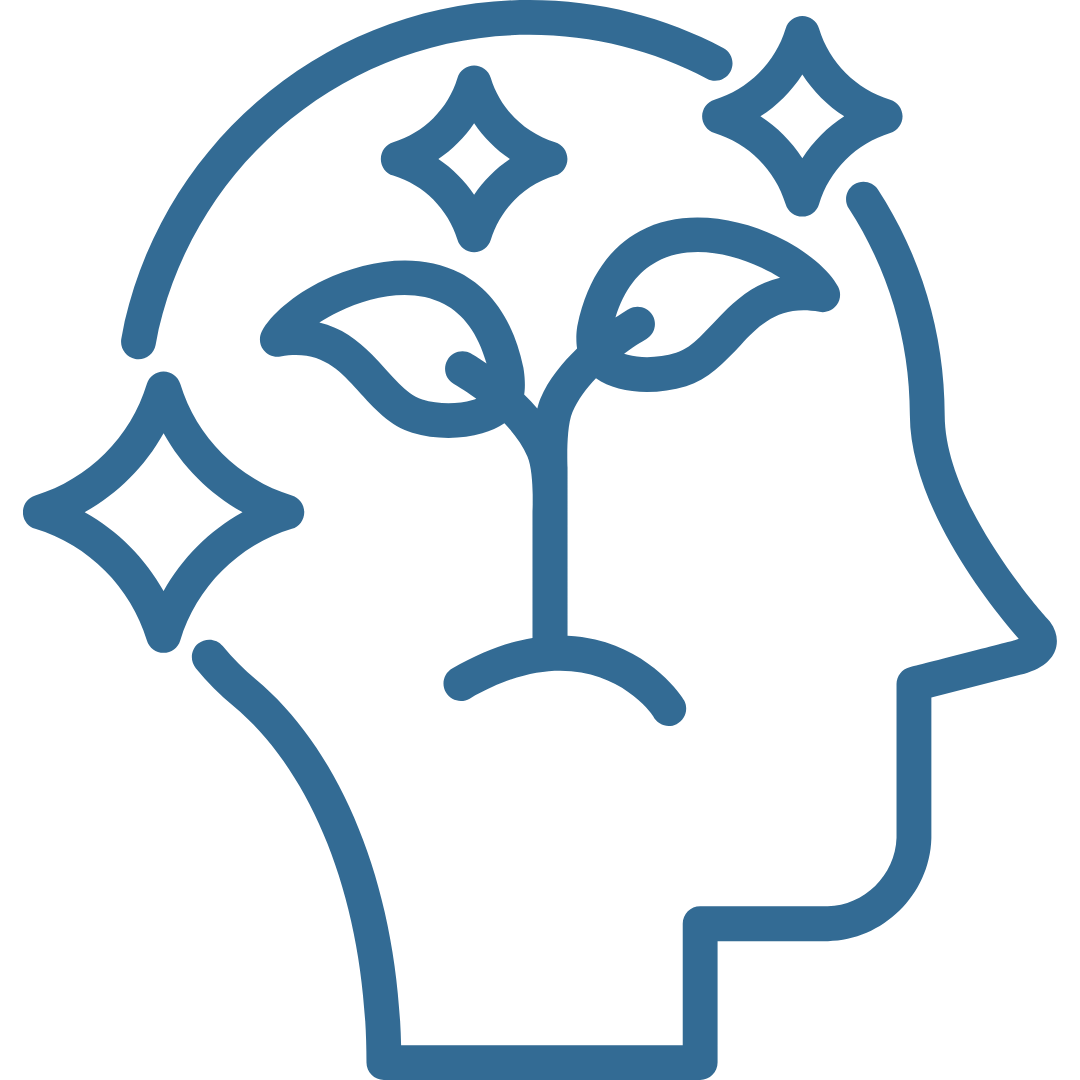 Mindset or Burnout