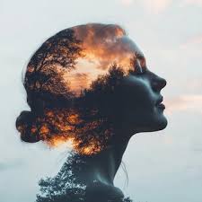 Serenity Mindset Coaching wellness resource