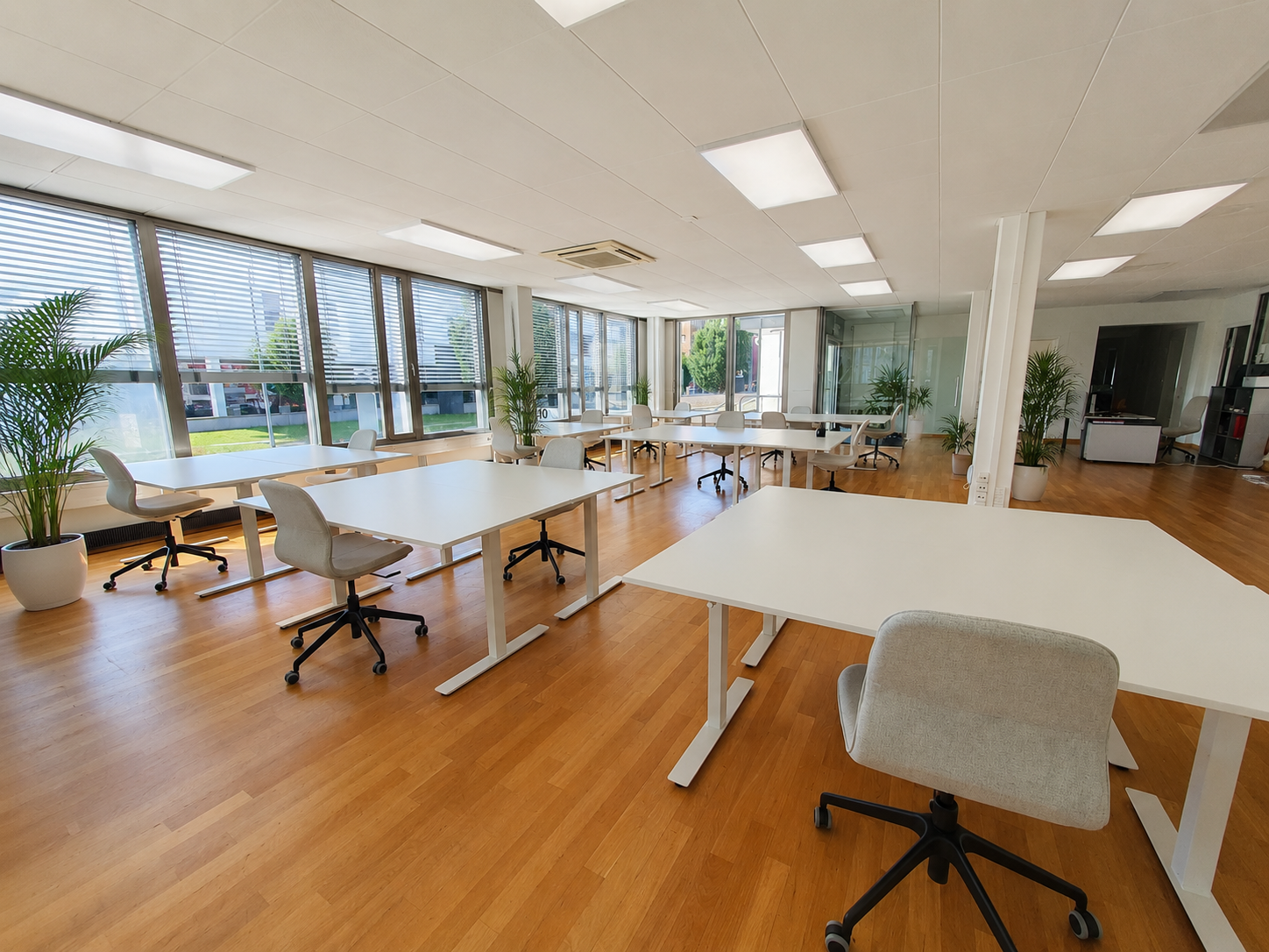 Offene Coworking-Fläche mit mehreren Arbeitsplätzen an der Fensterfront.