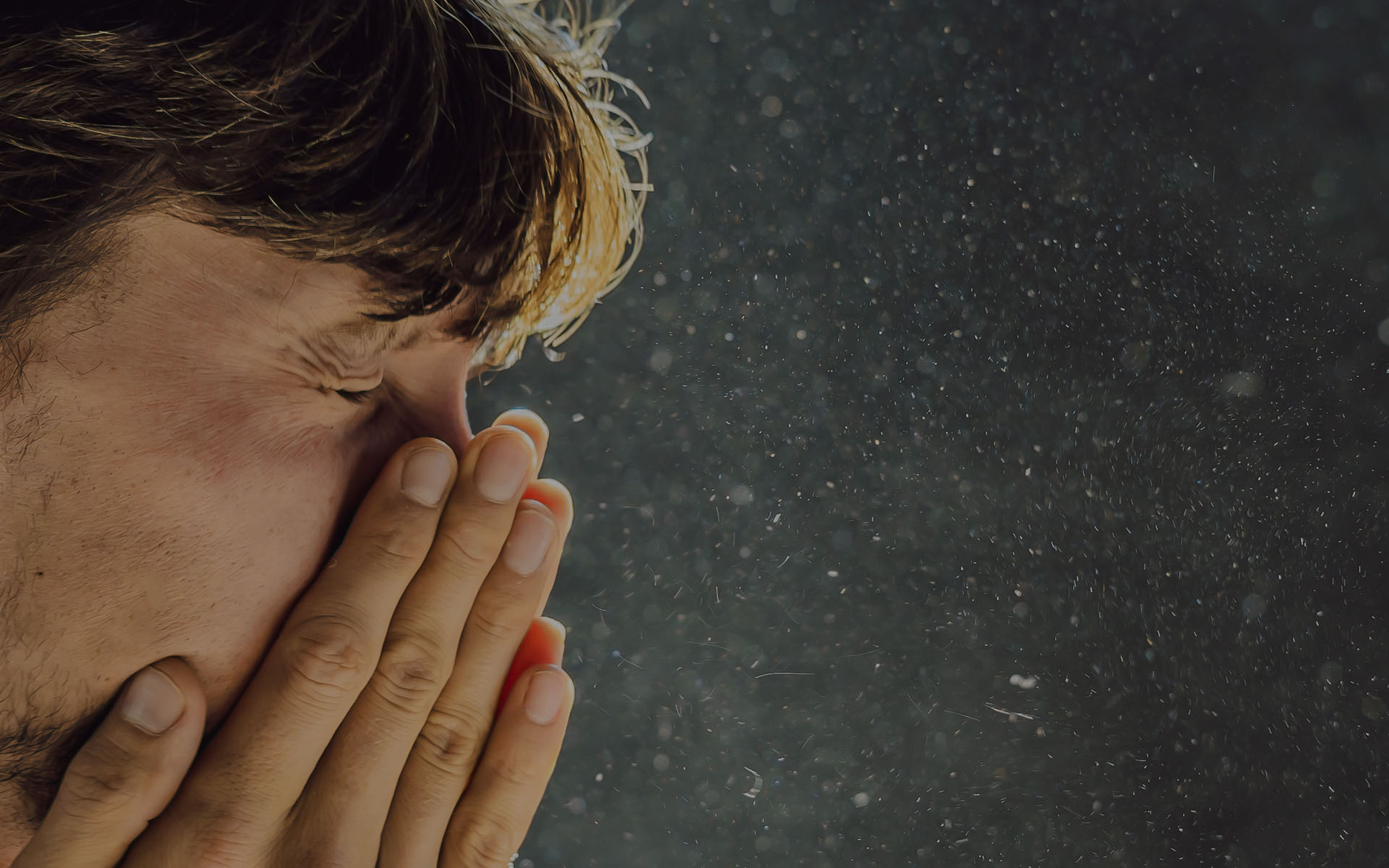 What's our Dust Test about