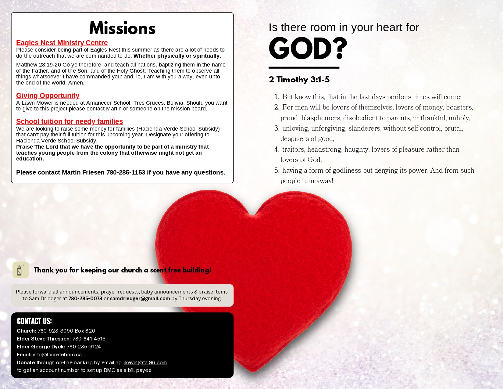 La Crete Bergthaler Mennonite Church Bulletin Page 2