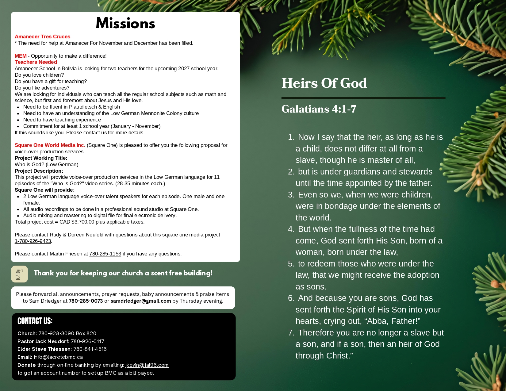 La Crete Bergthaler Mennonite Church Bulletin Page 2