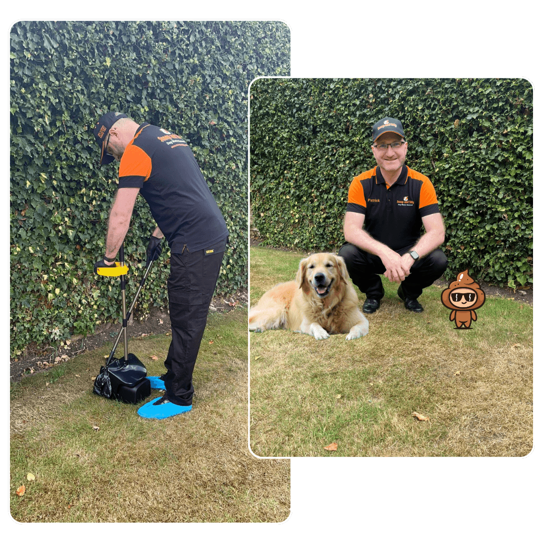 pooper scooper at work