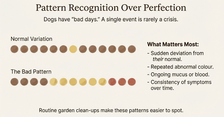Pattern recognition chart