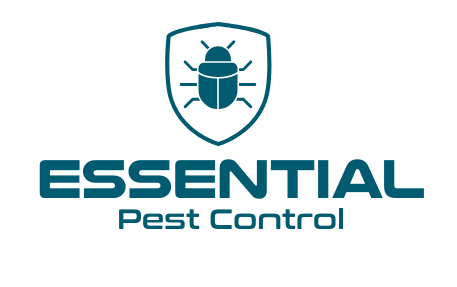 Essential Pest Control Services