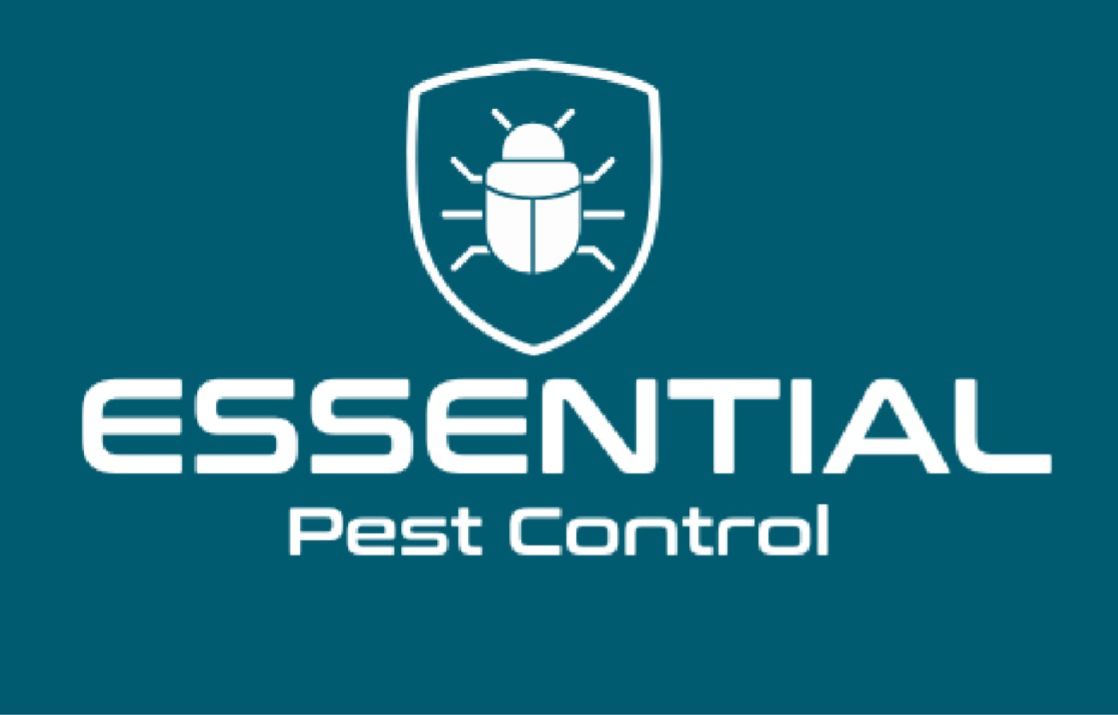 Essential Pest Control Services