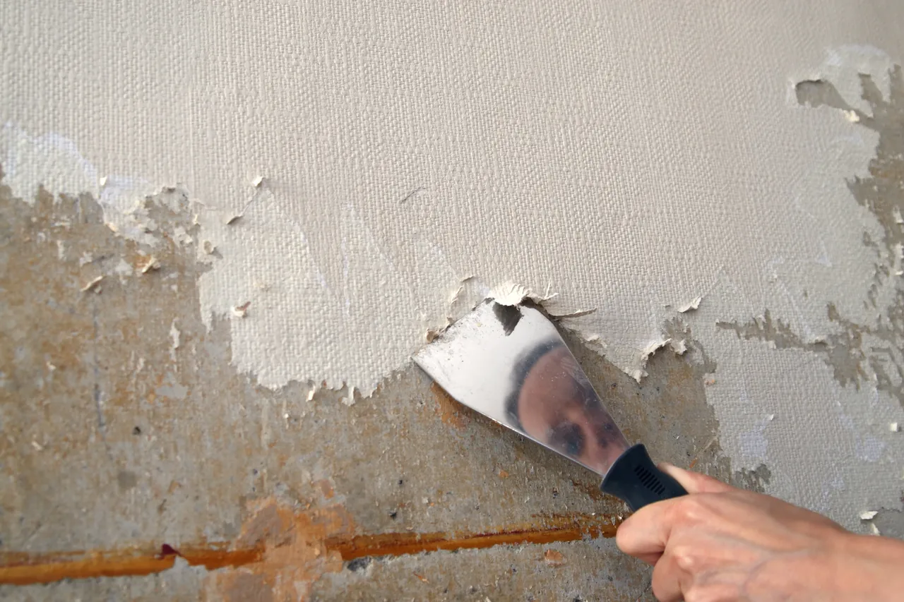 Clean Spaces Painting project 13