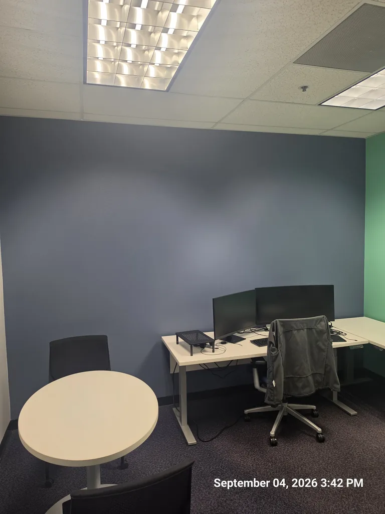 Painting Services