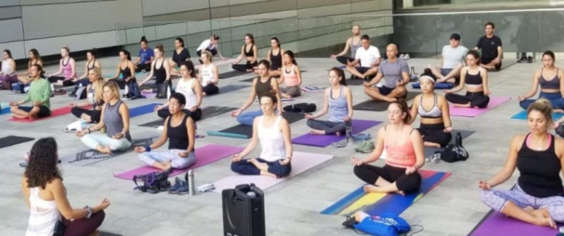 Wellness corporativo