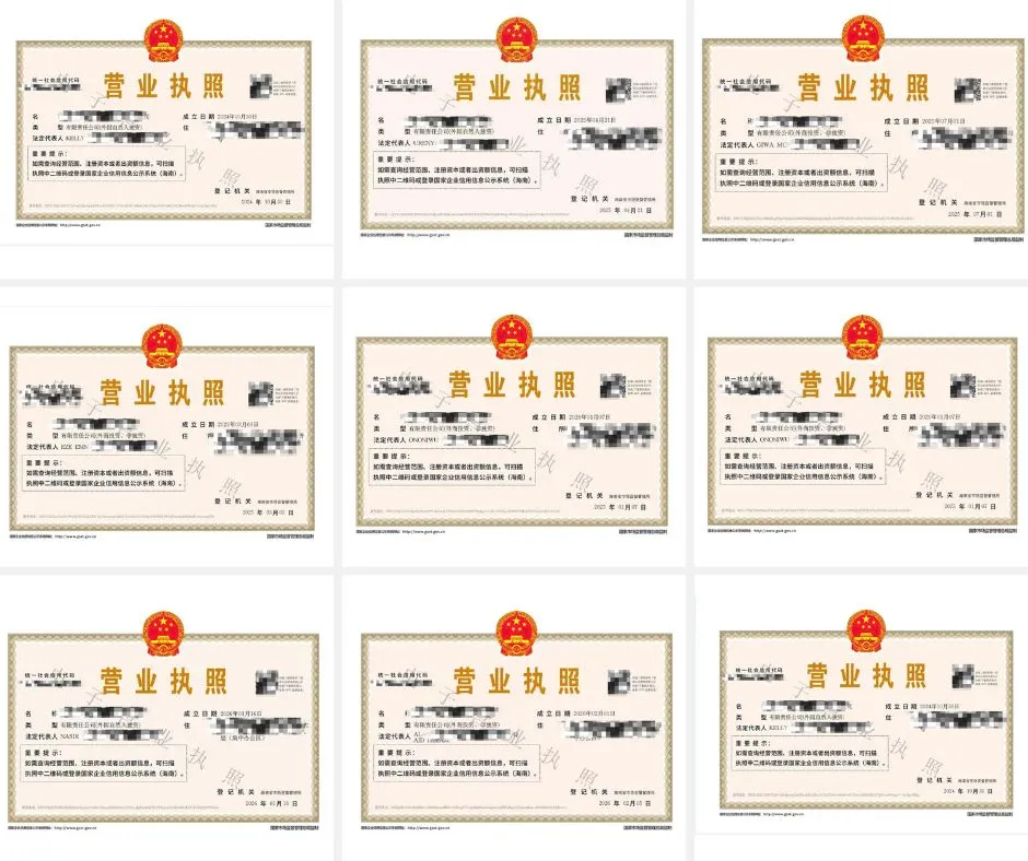 Business registration and visa documentation proof